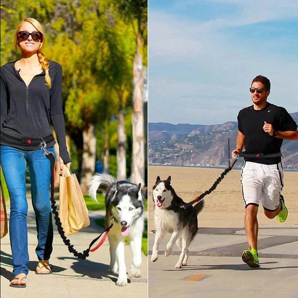 Adjustable Hands-Free Dog Leash
