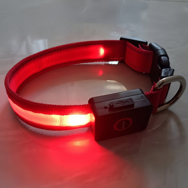 USB Rechargeable Led Dog Collar