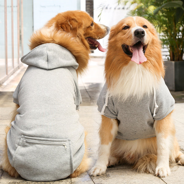 Checkered Dog Hoodies
