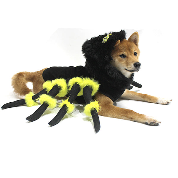 Spider Costume for Dogs
