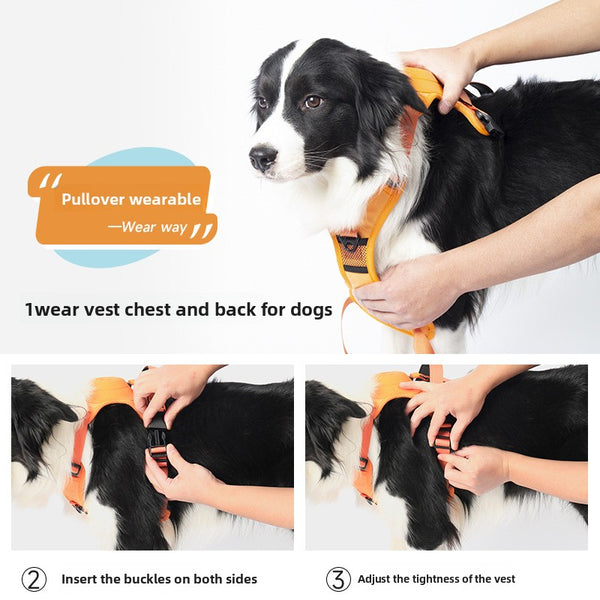Extendable Dog Leash and Harness