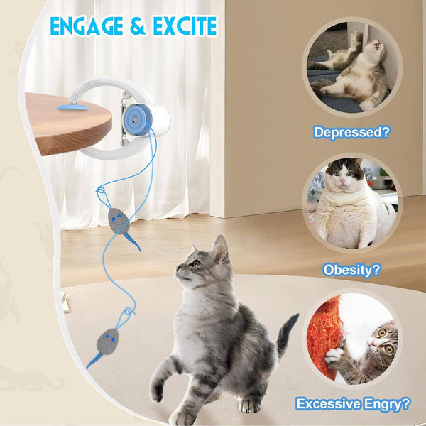 Door Clip Cat Toy with Elastic Rope