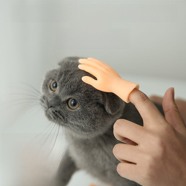 Interactive Finger Glove Toys for Cats
