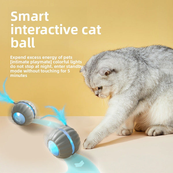 Interactive Cat Toy