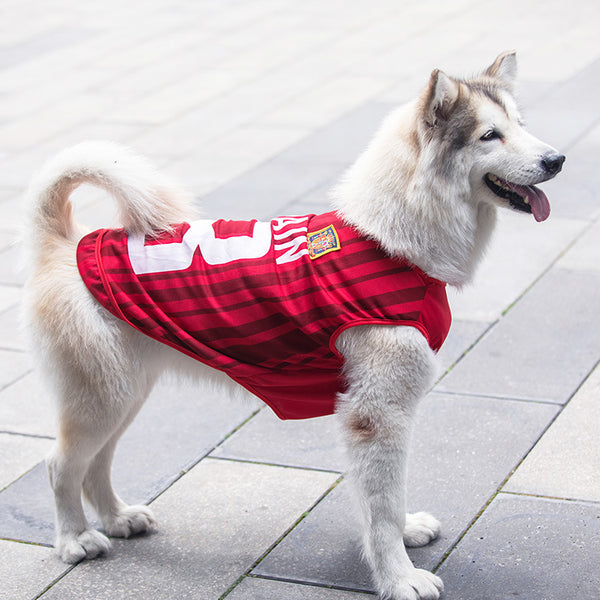Sports Vest for Dogs