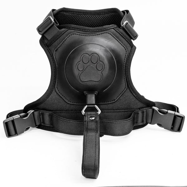 Extendable Dog Leash and Harness