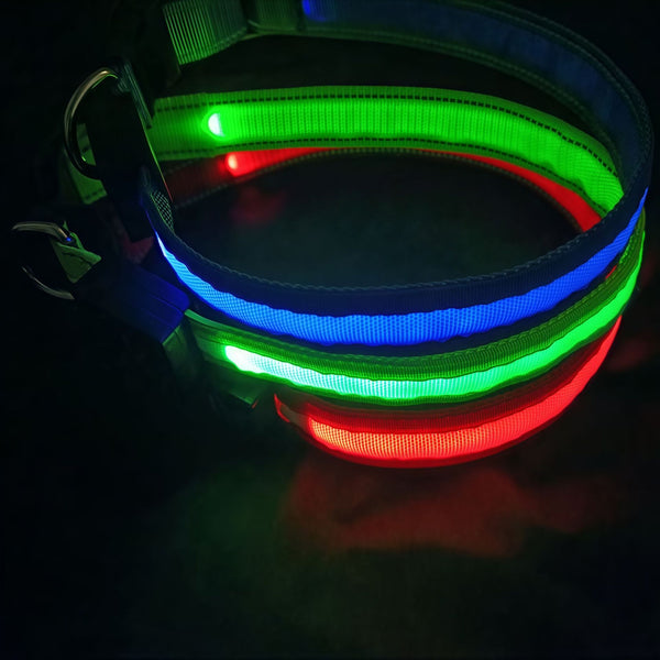 USB Rechargeable Led Dog Collar