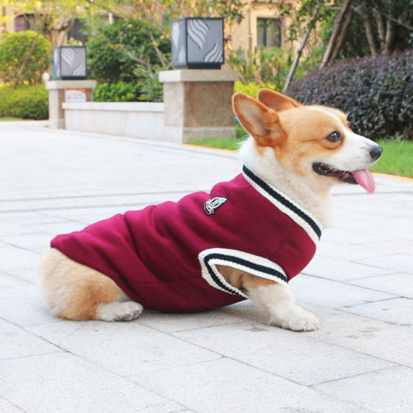 Soft and Cozy Pet Sweaters