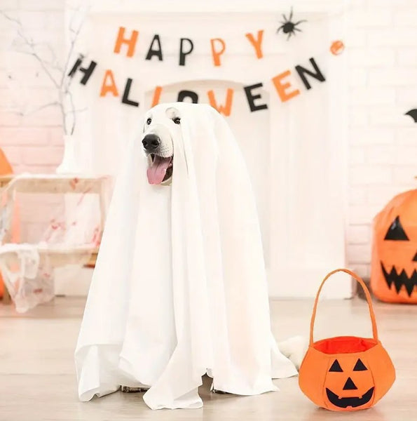 Dog Halloween Costume