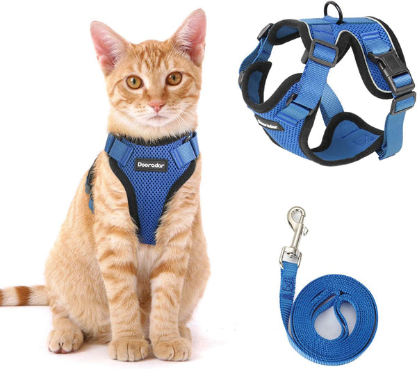 Cat Chest Harness and Leash