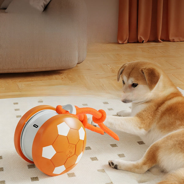 Bite Resistant Dog Toy Ball with Rope