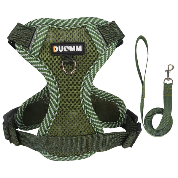 Pet Leash with Adjustable Straps