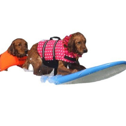 Dog Safety Swimming Vest
