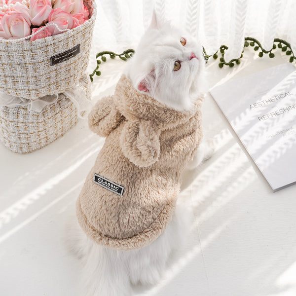Cat Hooded with Rabbit Ears