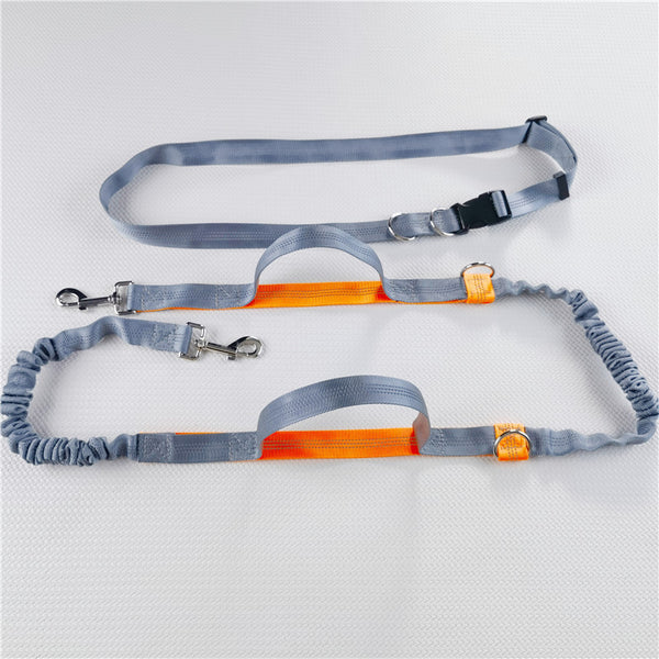 Adjustable Hands-Free Dog Leash