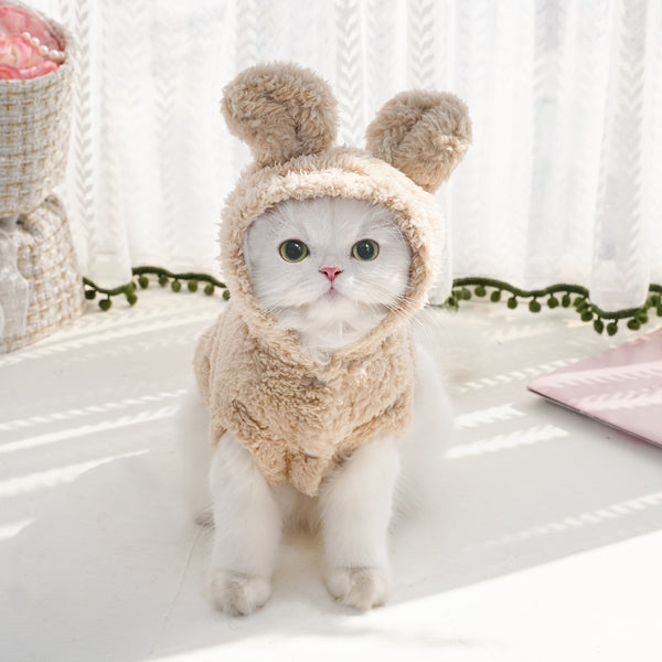 Cat Hooded with Rabbit Ears