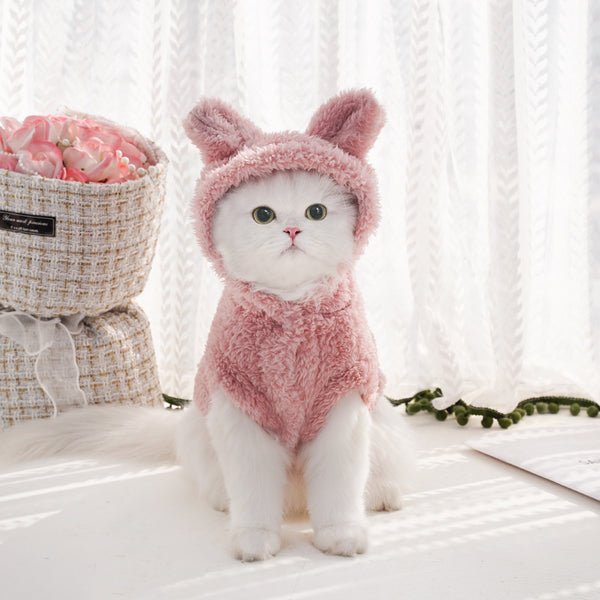 Cat Hooded with Rabbit Ears