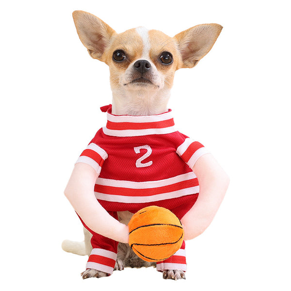 Halloween-Themed Pet Costumes