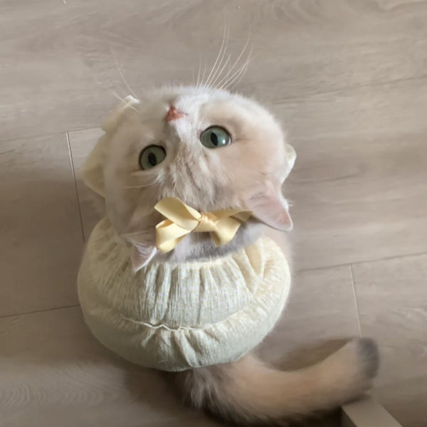 Cream-Colored Cat Dress