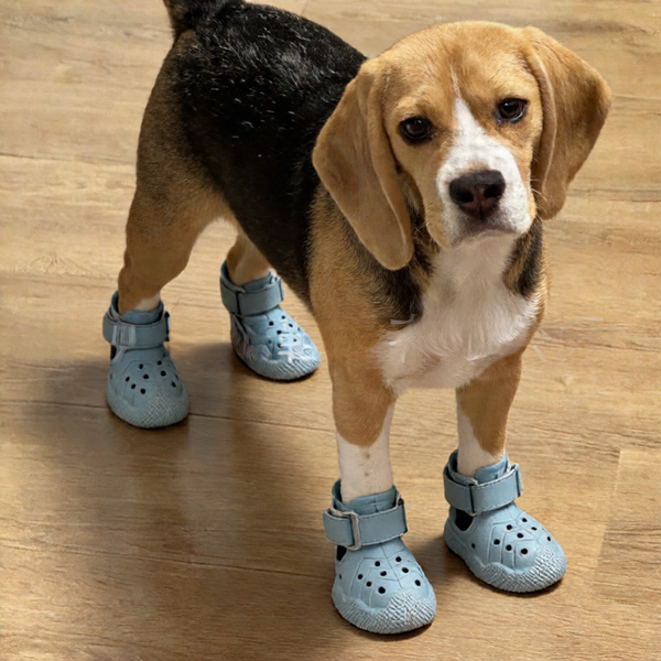 Durable Slip-Resistant Dog Shoes