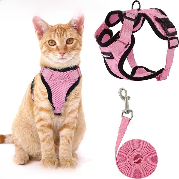 Cat Chest Harness and Leash