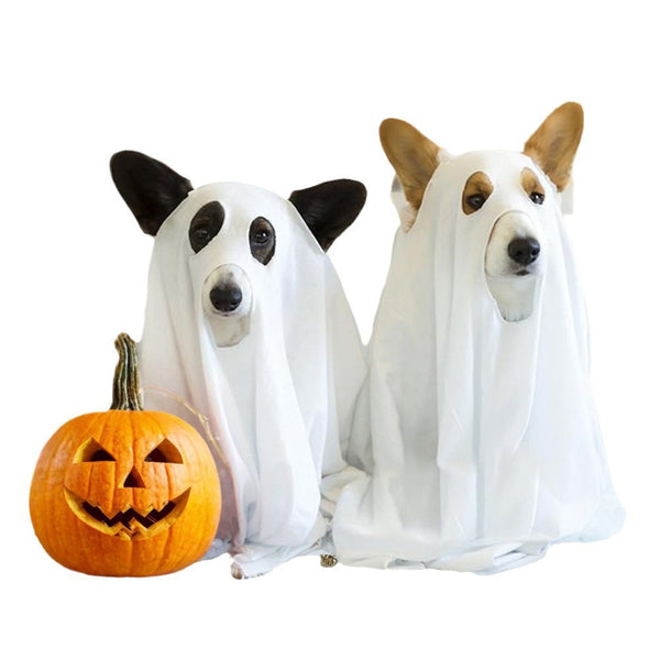 Dog Halloween Costume