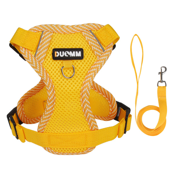 Pet Leash with Adjustable Straps