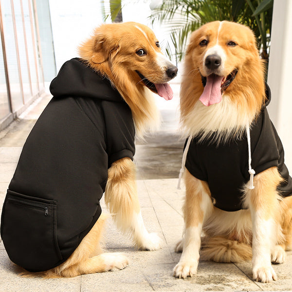 Checkered Dog Hoodies