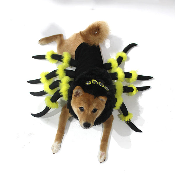 Spider Costume for Dogs
