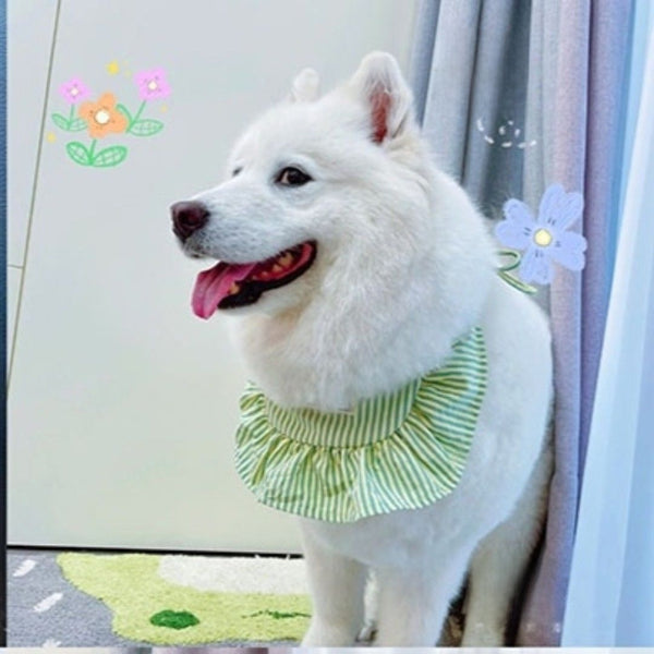 Dog Dress for Large Breeds