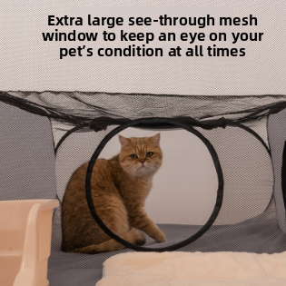 Cat Bed Enclosure
