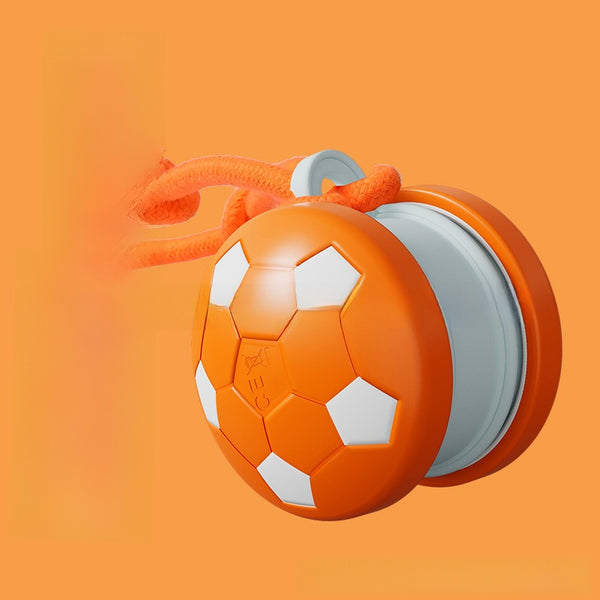 Bite Resistant Dog Toy Ball with Rope