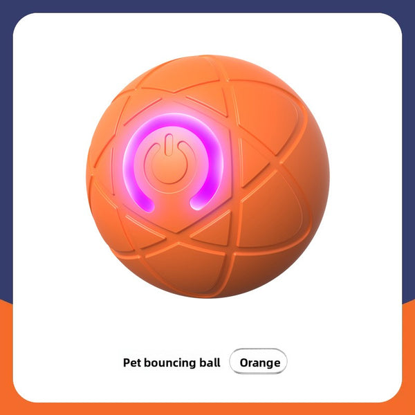 Smart Dog Bouncing Ball