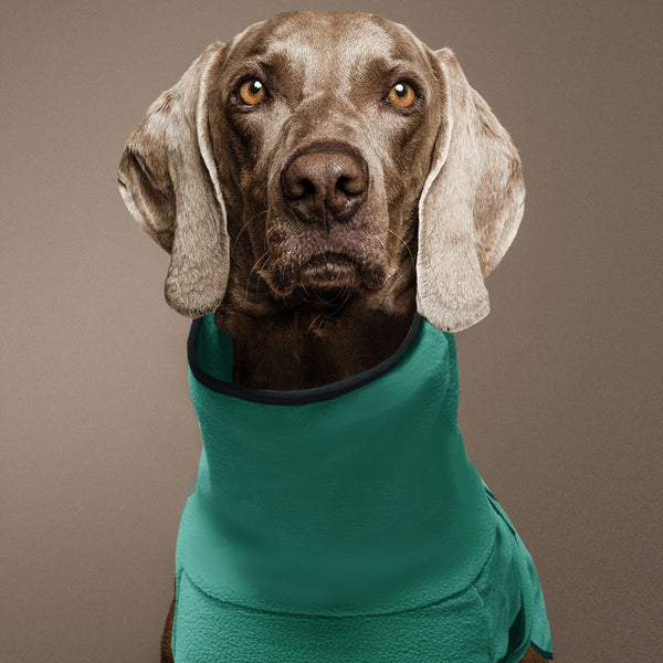 Fleece Dog Sweaters