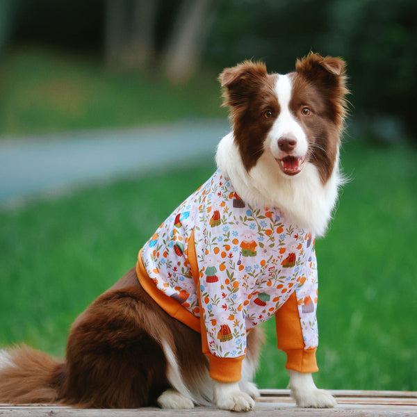 Elbow Protection Dog Clothing