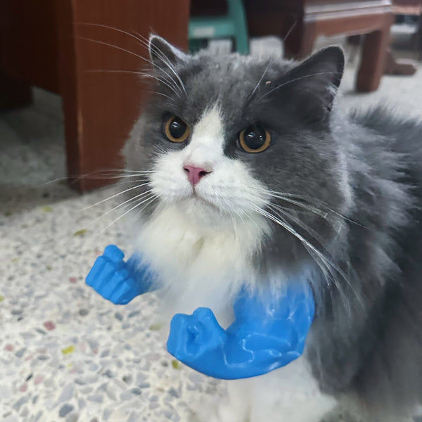 Giant Arm Cat Toy
