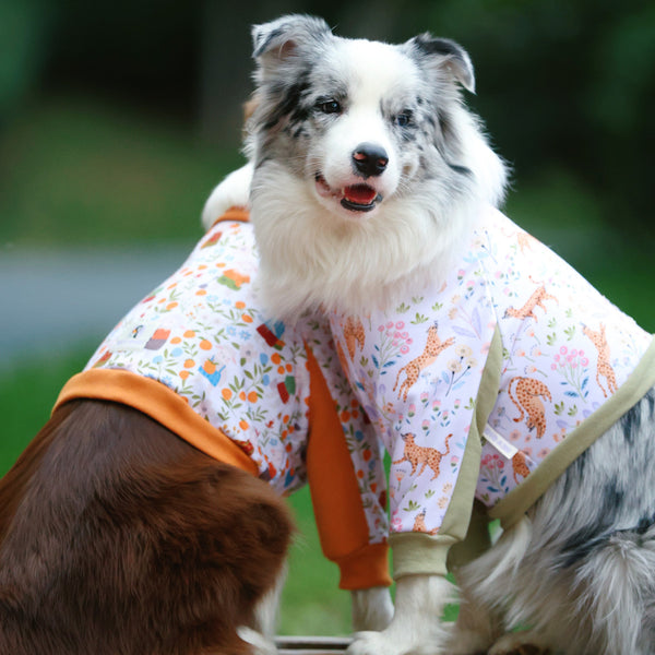 Elbow Protection Dog Clothing