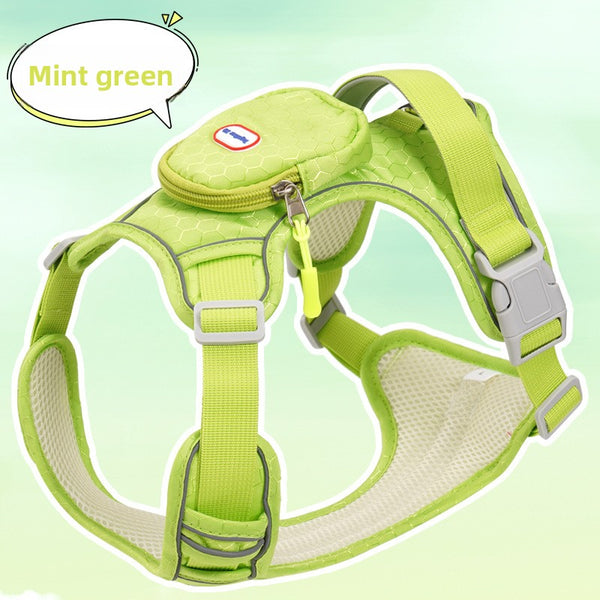 Buckle and Strap Dog Leash