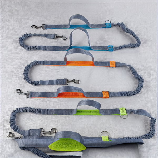 Adjustable Hands-Free Dog Leash