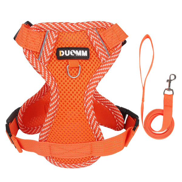 Pet Leash with Adjustable Straps