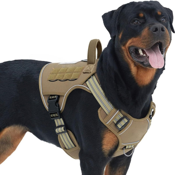 Dog Harness with Leash Attachment