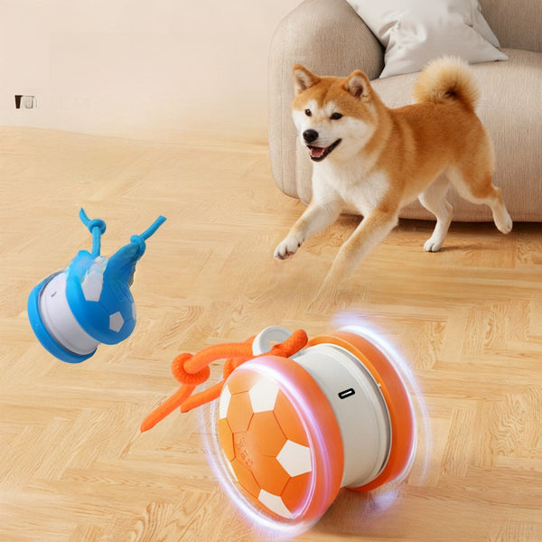 Bite Resistant Dog Toy Ball with Rope