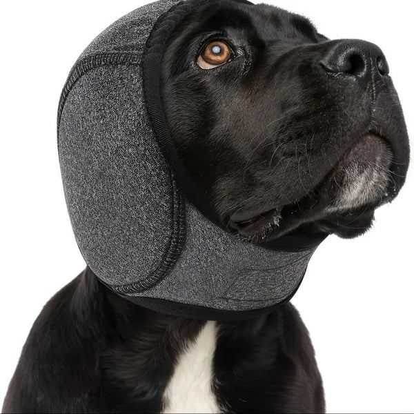 Waterproof Windproof Noise Reduction Earmuffs