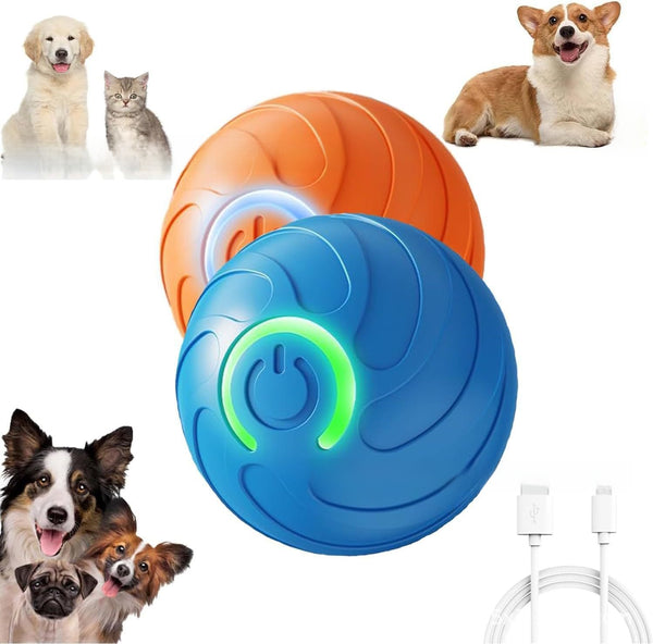 Smart Dog Bouncing Ball