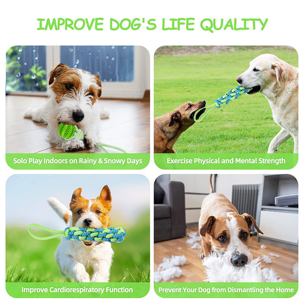 Dog Chew Toy with Rope and Ball