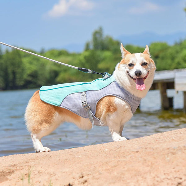 Adjustable Dog Cooling Vest