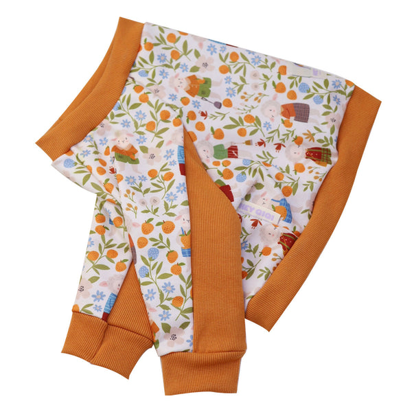 Elbow Protection Dog Clothing