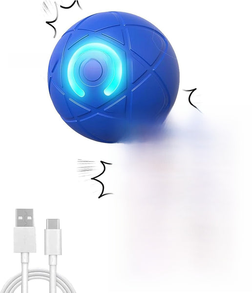 Smart Dog Bouncing Ball