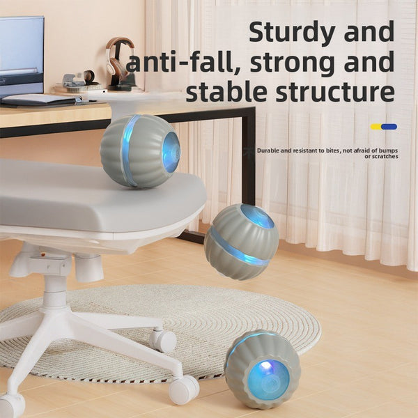 Interactive Cat Toy