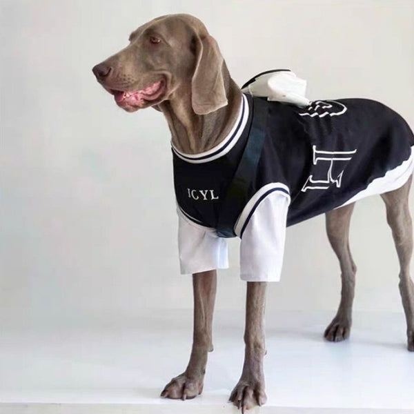 Dog Summer Comfort Shirt